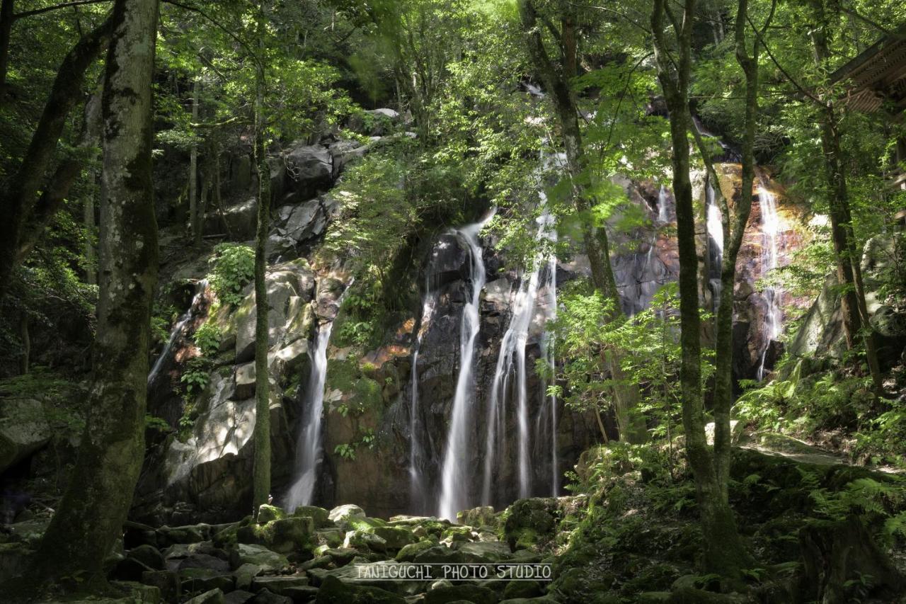 Moku杢 Villa Miyazu Dış mekan fotoğraf