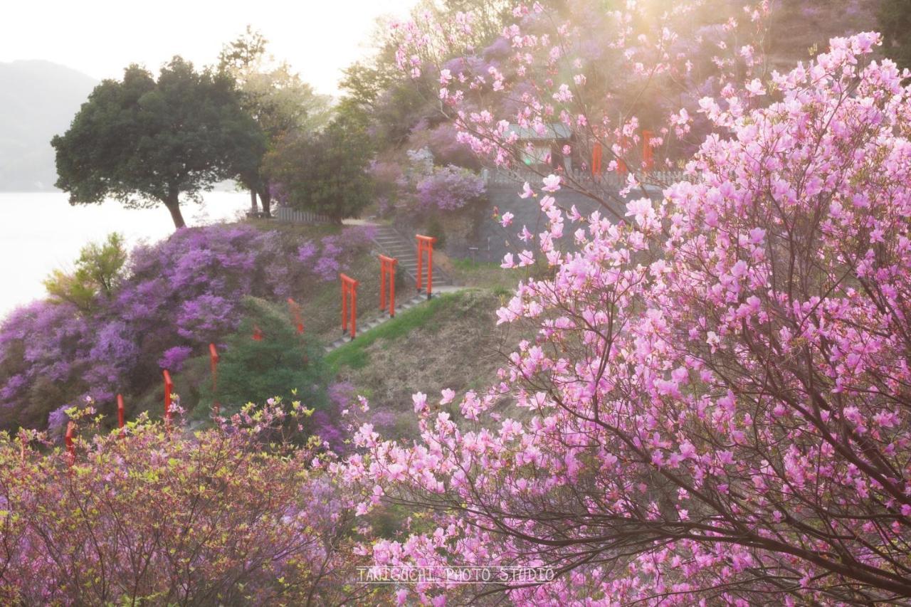 Moku杢 Villa Miyazu Dış mekan fotoğraf