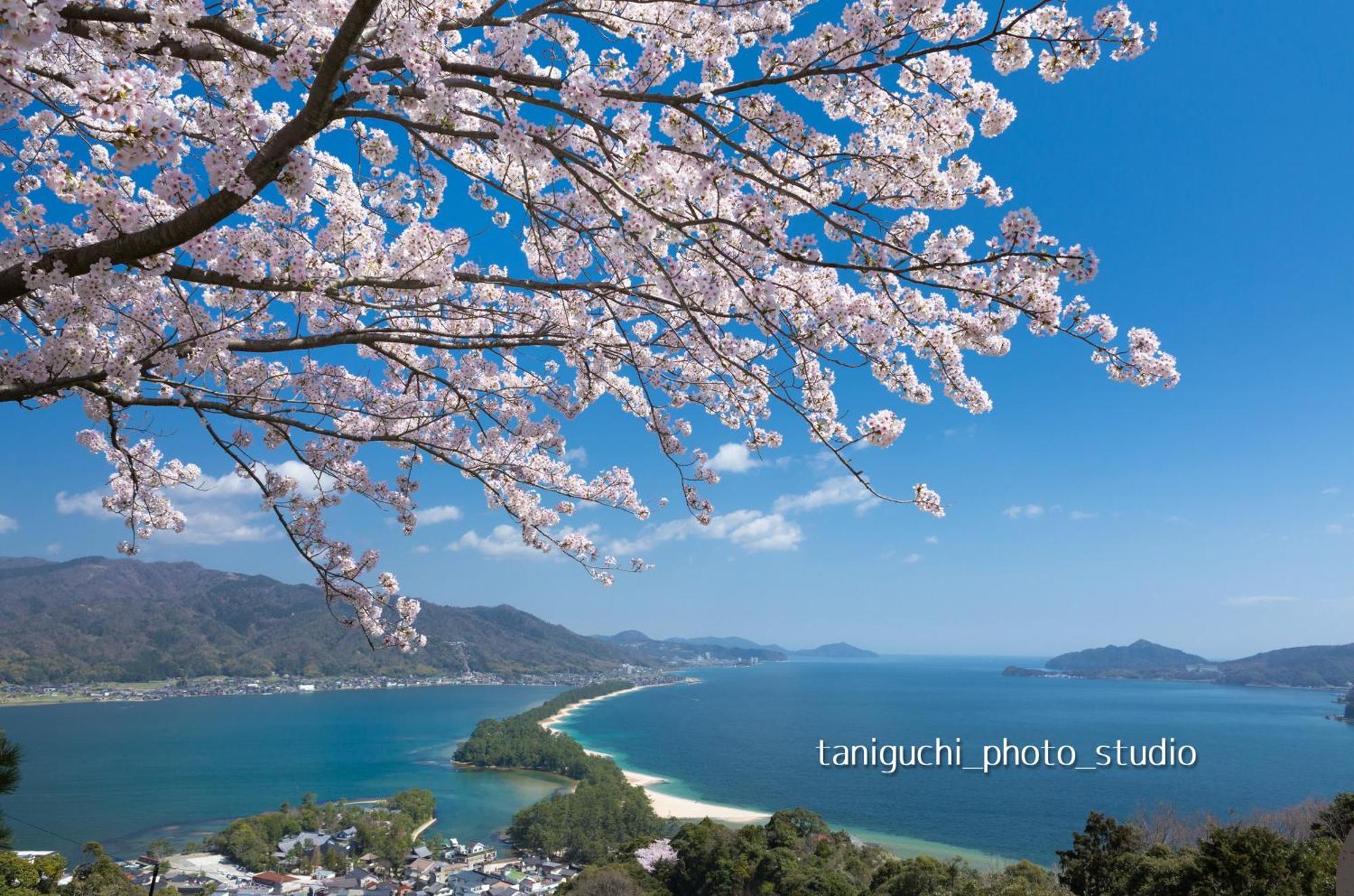 Moku杢 Villa Miyazu Dış mekan fotoğraf